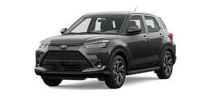 Luneta Termica Toyota Raize año 2023