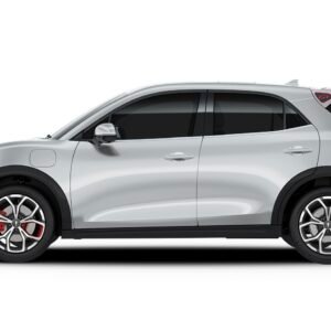 Vidrio Puerta Trasero GWM Ora