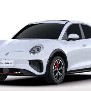 Luneta Termica Great Wall Gwm Ora