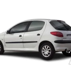 Vidrio Puerta Delantero izquierdo Peugeot 206 4P año 1998