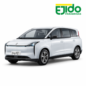 Parabrisas Laminado Bestune Nat  año 2024